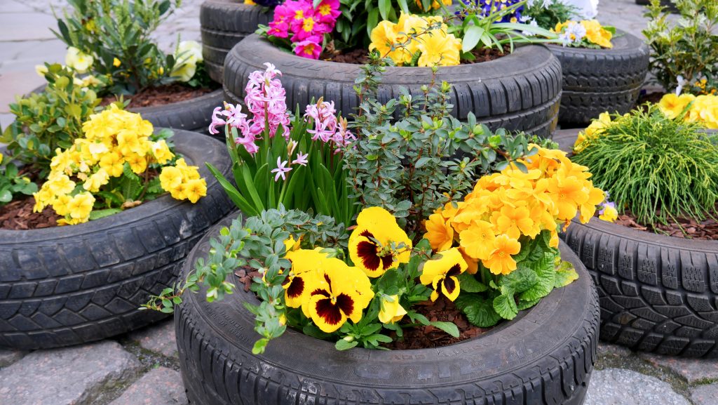 Blumen im Autoreifen Braunschweig